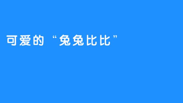 可爱的“兔兔比比”