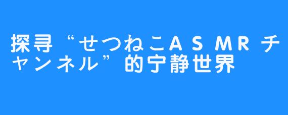 探寻“せつねこASMRチャンネル”的宁静世界