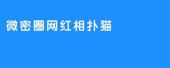 微密圈网红相扑猫